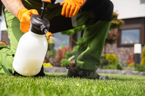 Best Best Pest Control Companies  in Skidaway Island, GA