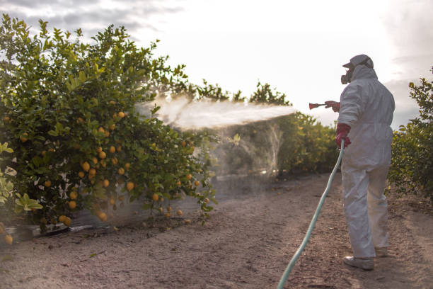 Best Pest Control for Businesses  in Skidaway Island, GA