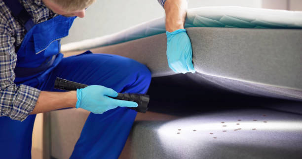 Best Residential Pest Control  in Skidaway Island, GA