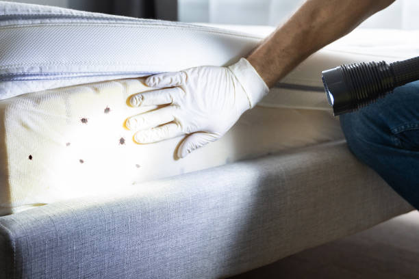 Best Bed Bug Extermination  in Skidaway Island, GA