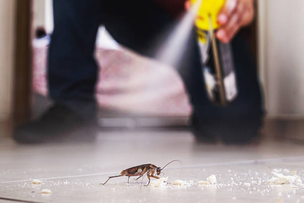 Best Flea Control Services  in Skidaway Island, GA
