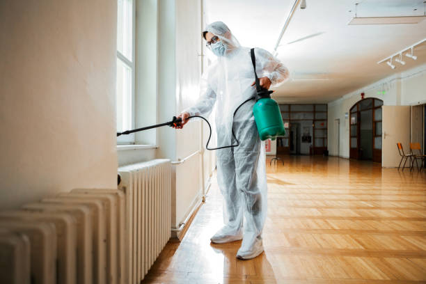 Best Wasp Removal Services  in Skidaway Island, GA
