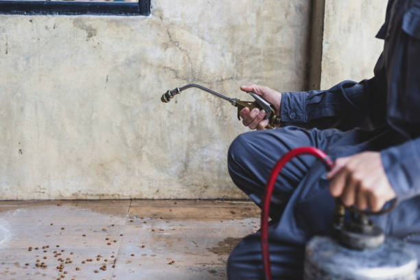 Pest Control for Restaurants in Skidaway Island, GA