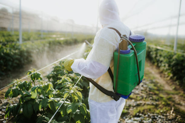 Best Commercial Pest Control Services  in Skidaway Island, GA